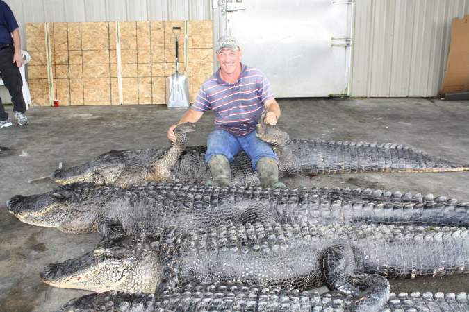 Troy Landry killing alligators